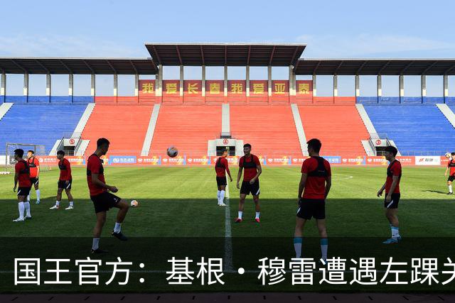 国王官方：基根·穆雷遭遇左踝关节囊炎 10至14天后接受重新评估